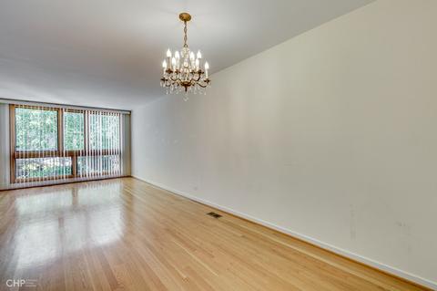 919 E 54th Pl, Chicago, IL 60615 photo 4