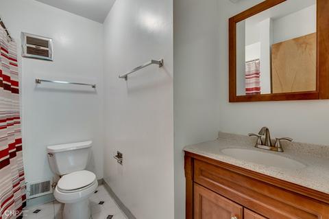 919 E 54th Pl, Chicago, IL 60615 photo 13