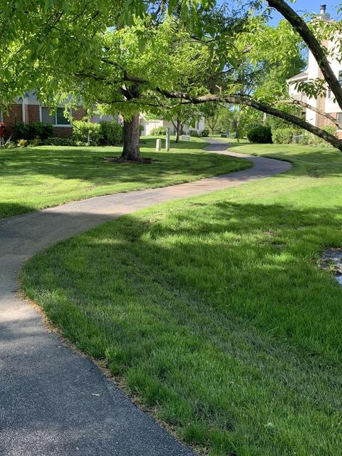 1604 Brittany Ct #A2, Wheeling, IL 60090 photo 32