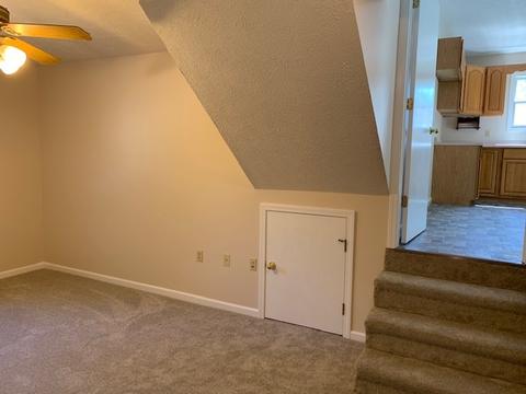 210 E Bullard St, Forrest, IL 61741 photo 15