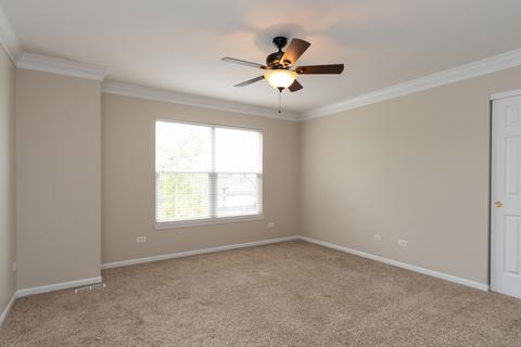 26828 Ashgate Xing, Plainfield, IL 60585 photo 10