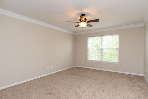 26828 Ashgate Xing, Plainfield, IL 60585 photo 9