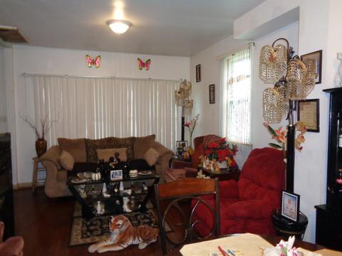 539 E 151st St, Phoenix, IL 60426 photo 5