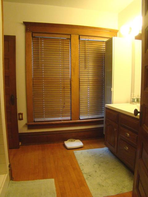 235 Hamilton Ave, Elgin, IL 60123 photo 29