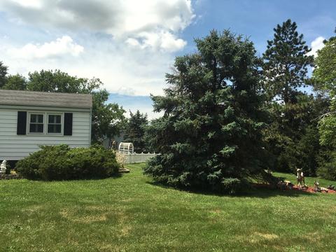 211 N Theodore, Mcnabb, IL 61335 photo 38