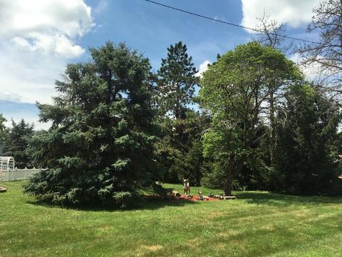 211 N Theodore, Mcnabb, IL 61335 photo 39