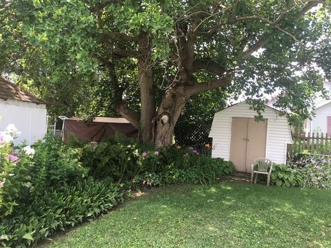 211 N Theodore, Mcnabb, IL 61335 photo 32