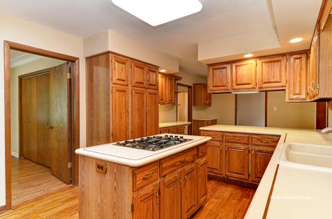 25131 W Catherine Dr, Plainfield, IL 60586 photo 10