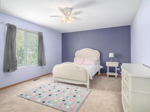 14442 General Dr, Plainfield, IL 60544 photo 21