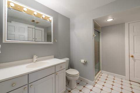 322 E Madison Ave, Wheaton, IL 60187 photo 25