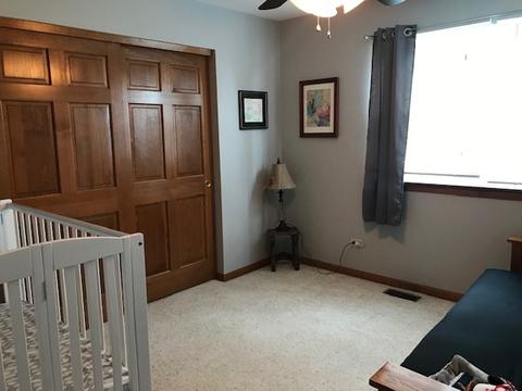 13486 Redberry Cir, Plainfield, IL 60544 photo 21