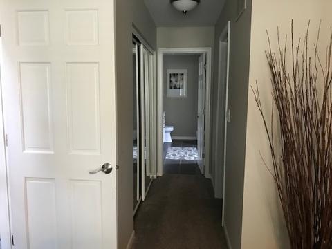13486 Redberry Cir, Plainfield, IL 60544 photo 17