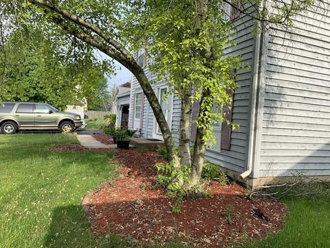 1420 Carleton Ave, Naperville, IL 60565 photo 2