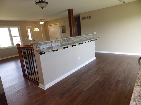 704 Davidson Dr, Minooka, IL 60447 photo 17