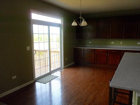 596 Wexford Dr, Elgin, IL 60124 photo 11