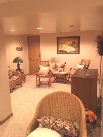 1015 W 4th St, Spring Valley, IL 61362 photo 21