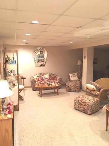 1015 W 4th St, Spring Valley, IL 61362 photo 22