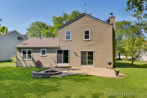 919 Fieldside Ln, Aurora, IL 60504 photo 16