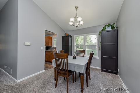 919 Fieldside Ln, Aurora, IL 60504 photo 9