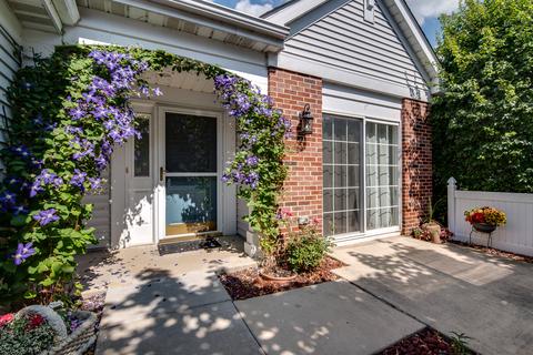 21035 W Braxton Ln, Plainfield, IL 60544 photo 2
