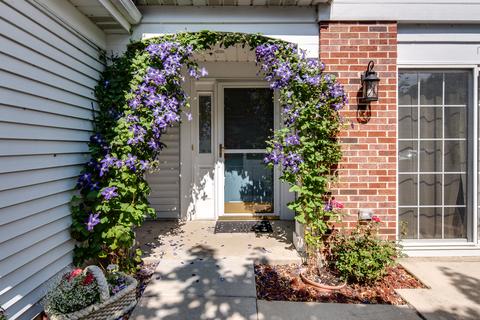 21035 W Braxton Ln, Plainfield, IL 60544 photo 3