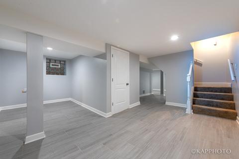438 E 88th Pl, Chicago, IL 60619 photo 19