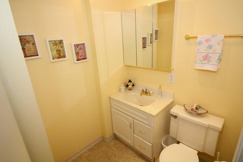 504 E Turner Ave, Roselle, IL 60172 photo 25