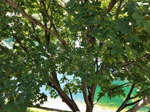 156 Bay Dr, Itasca, IL 60143 photo 31