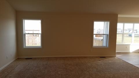 933 White Birch Ln, Davis Junction, IL 61020 photo 2
