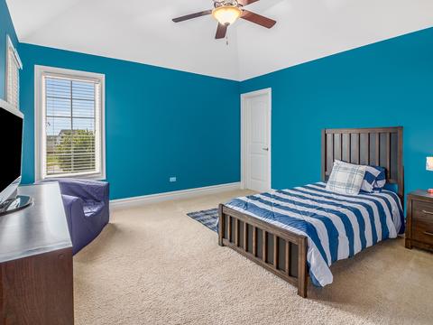12831 Peppertree Dr, Plainfield, IL 60585 photo 35