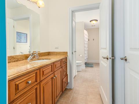 12831 Peppertree Dr, Plainfield, IL 60585 photo 32