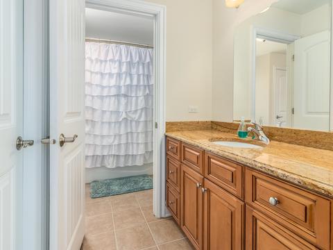 12831 Peppertree Dr, Plainfield, IL 60585 photo 34