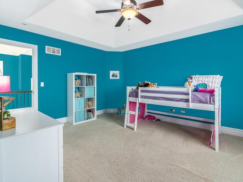 12831 Peppertree Dr, Plainfield, IL 60585 photo 31
