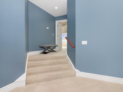 12831 Peppertree Dr, Plainfield, IL 60585 photo 21
