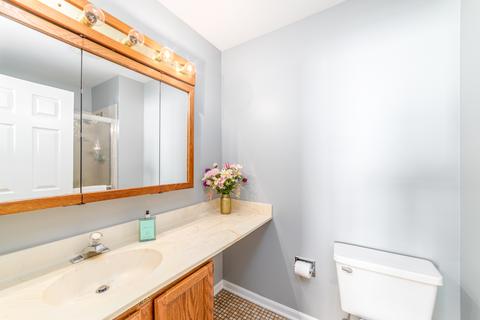 1248 Clover Ln, Hoffman Estates, IL 60192 photo 16