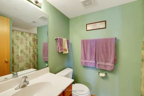4723 W Tulip Ave, Monee, IL 60449 photo 19