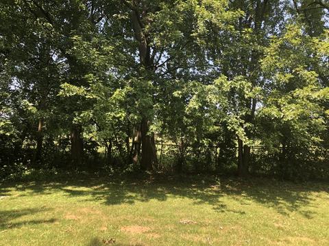 712 Mcclure Ave, Elgin, IL 60123 photo 13