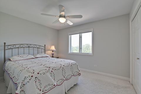 7204 Viscaya Dr, Spring Grove, IL 60081 photo 30