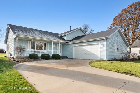 462 Pasadena Ave, Beecher, IL 60401 photo 1