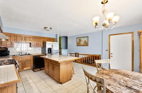1048 E Prairie Ave, Des Plaines, IL 60016 photo 15