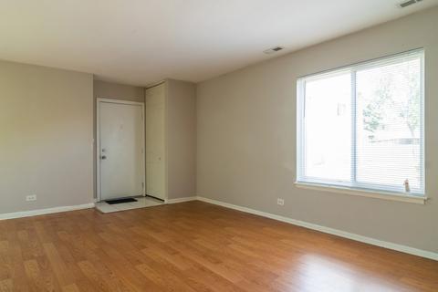 1587 Cornell Pl #1, Hoffman Estates, IL 60169 photo 3