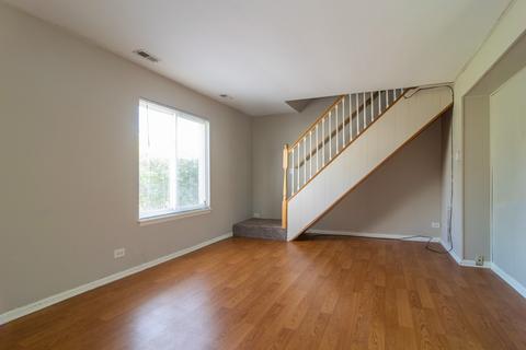 1587 Cornell Pl #1, Hoffman Estates, IL 60169 photo 6