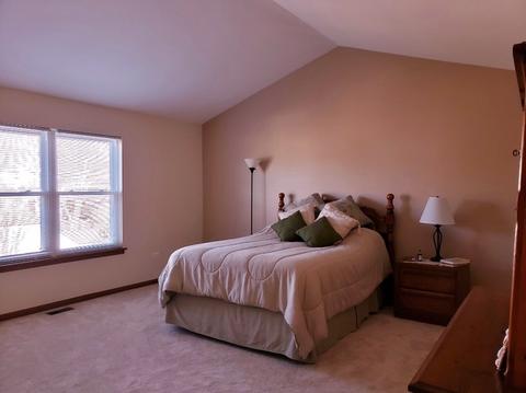 24046 Primrose Cir, Plainfield, IL 60585 photo 13