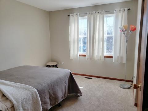 24046 Primrose Cir, Plainfield, IL 60585 photo 17
