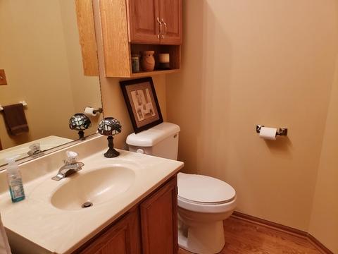 24046 Primrose Cir, Plainfield, IL 60585 photo 10