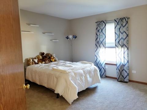 24046 Primrose Cir, Plainfield, IL 60585 photo 18