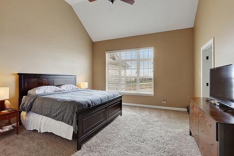 11909 Holly Ct, Plainfield, IL 60585 photo 17