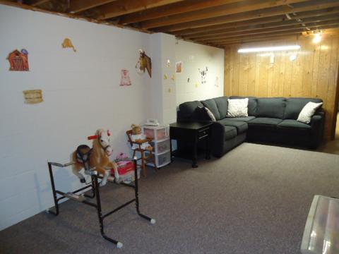 104 Everett Dr, Gridley, IL 61744 photo 27