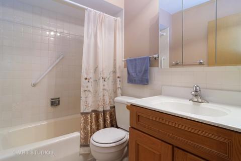 1309 E Ardyce Ln, Mount Prospect, IL 60056 photo 11