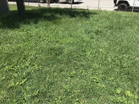 1607 Dearborn Ave, Aurora, IL 60505 photo 20